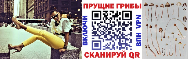 Псилоцибиновые грибы прущие грибы Елизово
