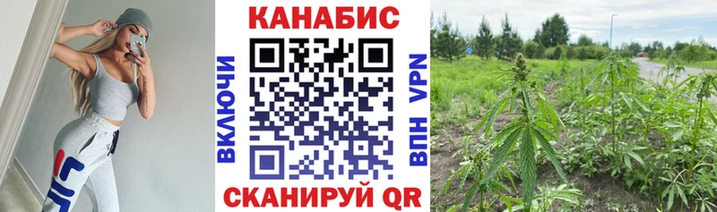Купить  Елизово  Канабис тримм 
